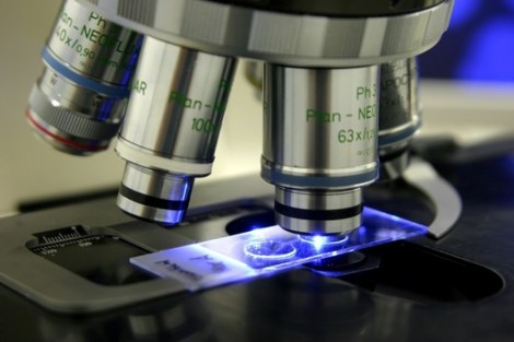 The past three weeks have been largely looking down microscopes