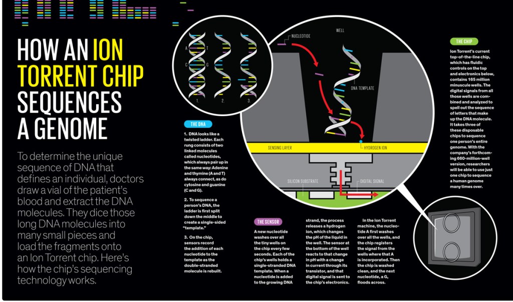 Source: http://spectrum.ieee.org/biomedical/devices/the-gene-machine-and-me - The best explanation I've found for Ion Torrent technology