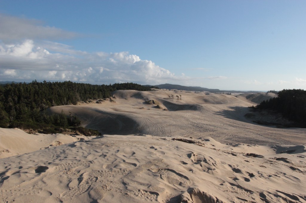 Dunes in Honeyman State Park