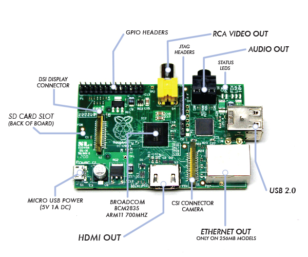 The Raspberry Pi! 