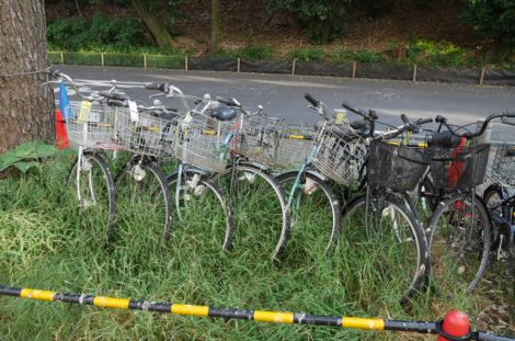 Abandoned bicycles at Nagoya U