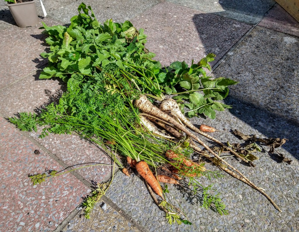 Harvest and Homeworking