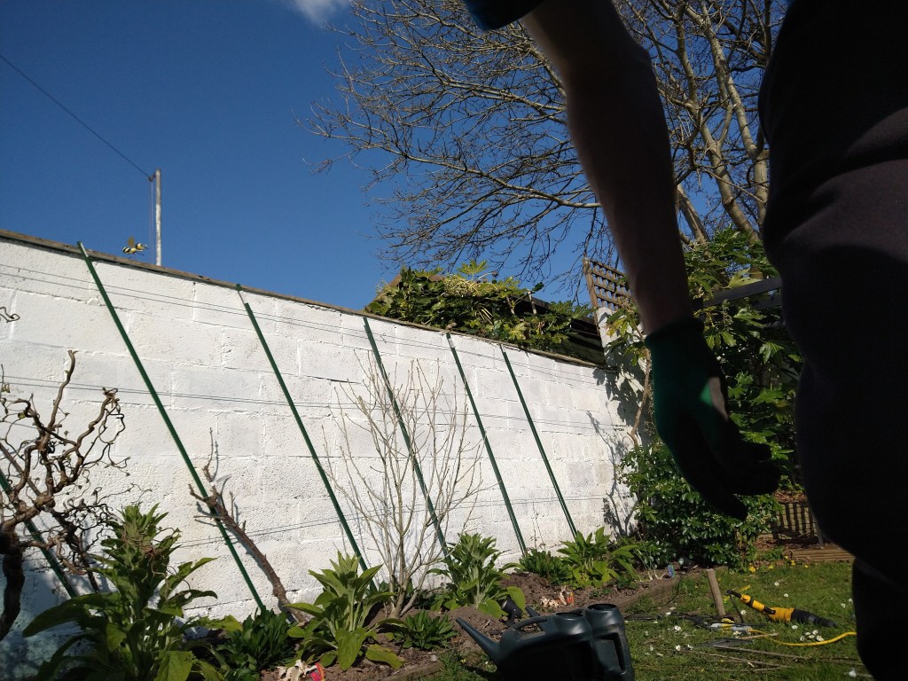 Cordon Vert? (See what I did&nbsp;there?)