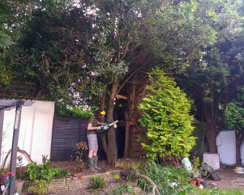 I’m a Lumberjack (And I’m okay…mostly)